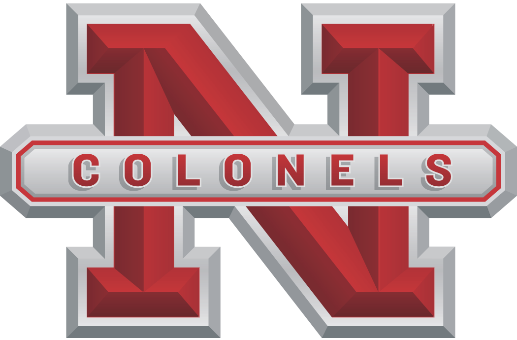 Nicholls State Colonels 2005-2008 Alternate Logo DIY iron on transfer (heat transfer)